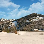 아파트 Dog-friendly In Bregenzerwald Sibratsgfäll