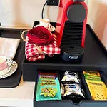 Dog-friendly In Bregenzerwald