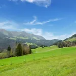 아파트 Dog-friendly In Bregenzerwald *