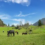 Dog-friendly In Bregenzerwald Sibratsgfäll