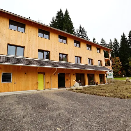 Appartamento Dog-friendly In Bregenzerwald *