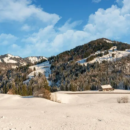 דירה Dog-friendly In Bregenzerwald סיבראצגפל