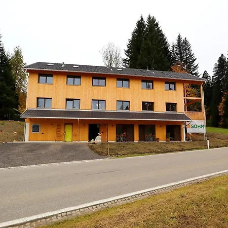 Appartamento Dog-friendly In Bregenzerwald *