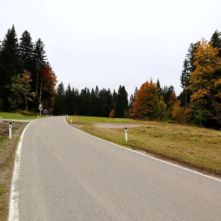 דירה Dog-friendly In Bregenzerwald *