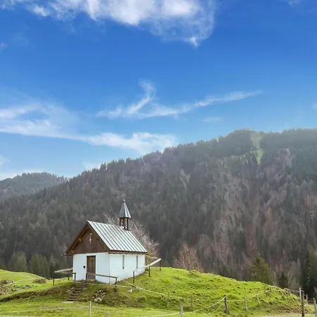 Appartamento Dog-friendly In Bregenzerwald Sibratsgfäll