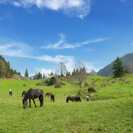 Dog-friendly In Bregenzerwald Sibratsgfäll