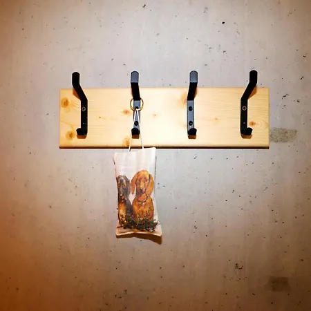 Dog-friendly In Bregenzerwald דירה סיבראצגפל