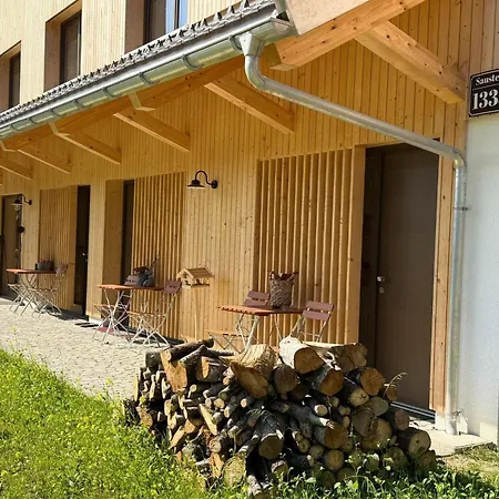 Appartamento Dog-friendly In Bregenzerwald *