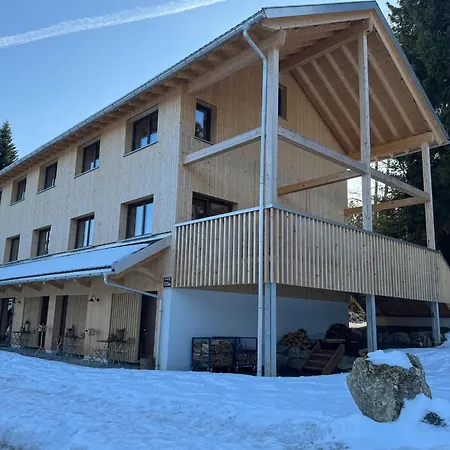 Dog-friendly In Bregenzerwald *
