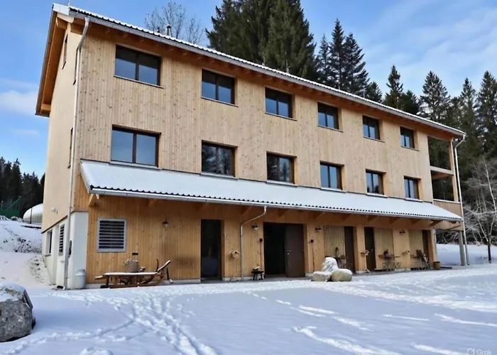 Dog-friendly In Bregenzerwald